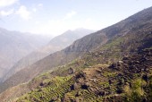 mountain terraces in langtang area.jpg