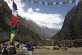 Ghodatabela, just below Langtang village.jpg