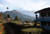 Typical Lodge in Mardi Himal Trek.JPG