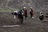 Horse Racing Festival (Yartung) is celebrated in Samdo.JPG
