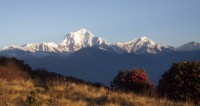 Annapurna Panorama and Chitwan National