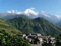 Discover Nepal 