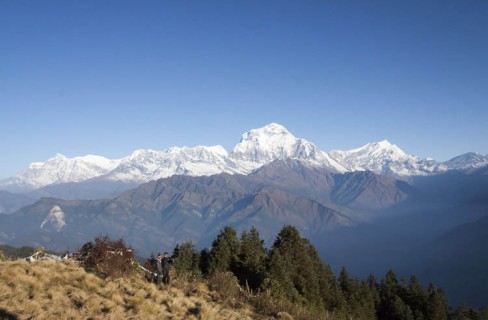 Annapurna Panorama and Mardi Himal Trek