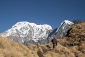 On the way Mardi Himal Base Camp