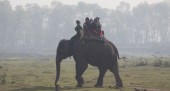 Epephant ride in Chitwan.jpg