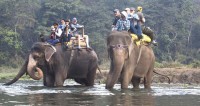 School Expedition: Annapurna Panorama, White Water Rafting and Chitwan National Park