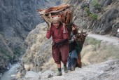 Women carrying fire wood JPG.JPG
